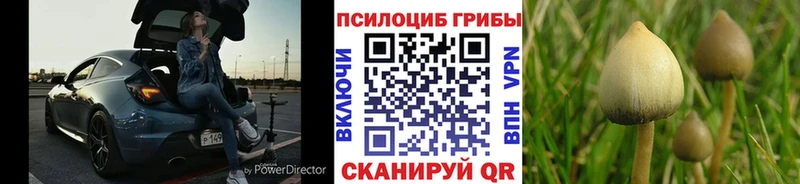 Псилоцибиновые грибы мицелий Нижний Тагил